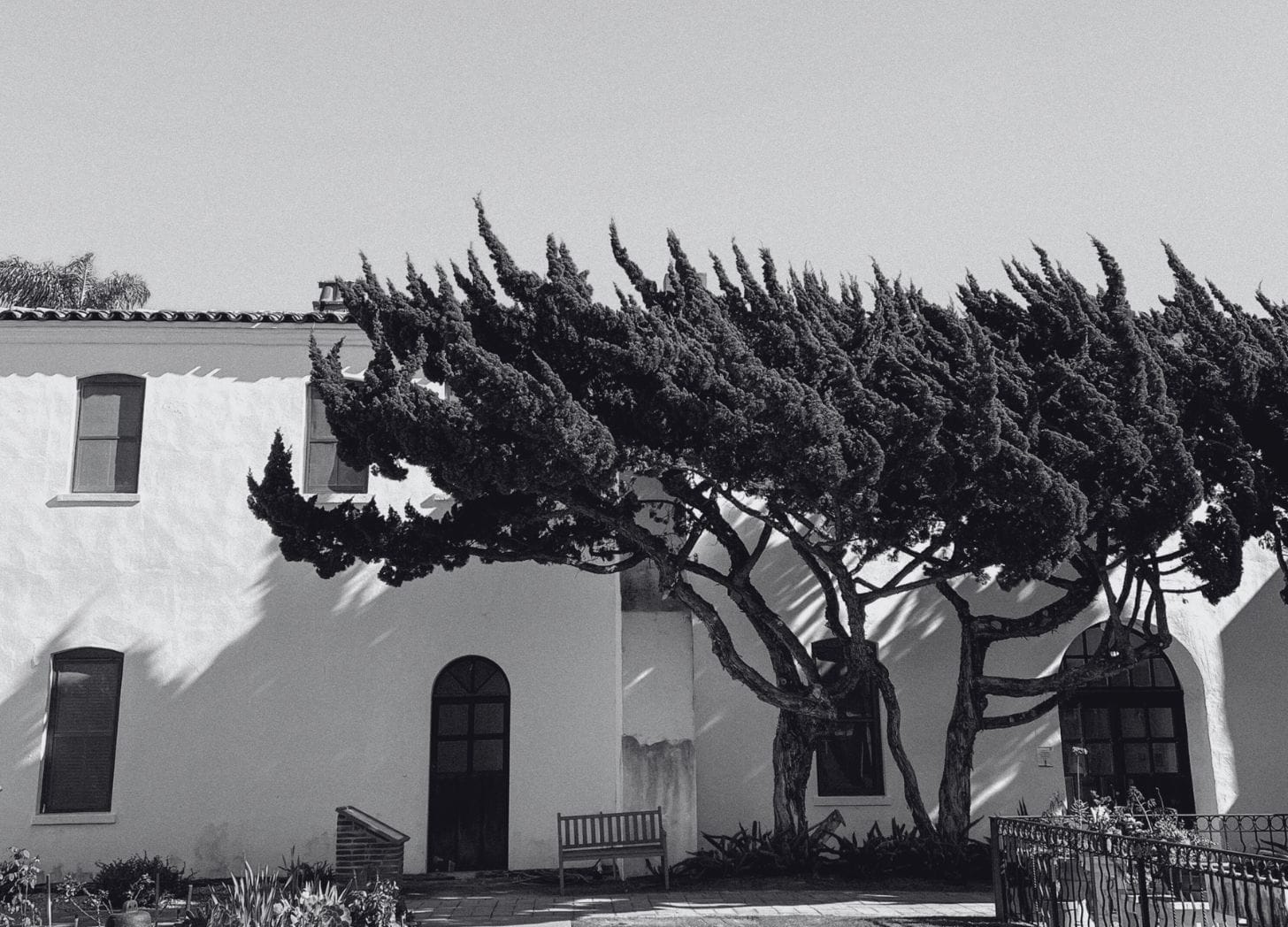 Tracing Your Shadow through Shifting Leaves