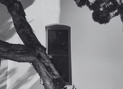 Yes, in spite of everything