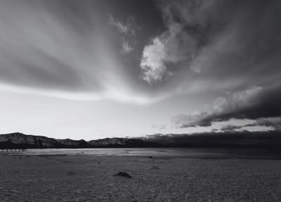 The Value of Life: Abortion, Adoption, and Agency