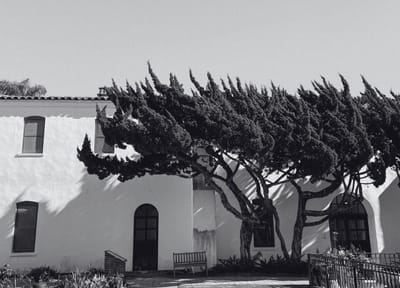 Tracing Your Shadow through Shifting Leaves