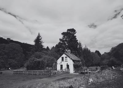 Home in the spaces between